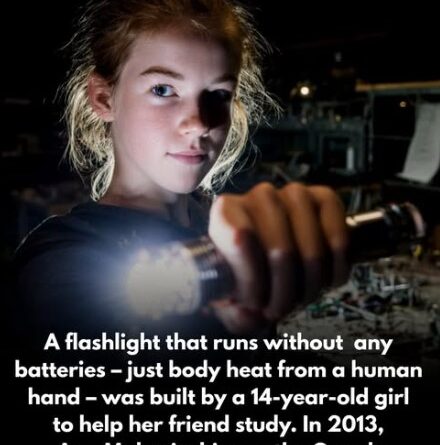 A Teenager’s Bright Idea: The Invention That Lit the World With a Human Touch