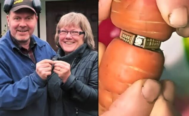 Lost for 16 Years, a Wedding Ring Resurfaces in the Most Unexpected Way