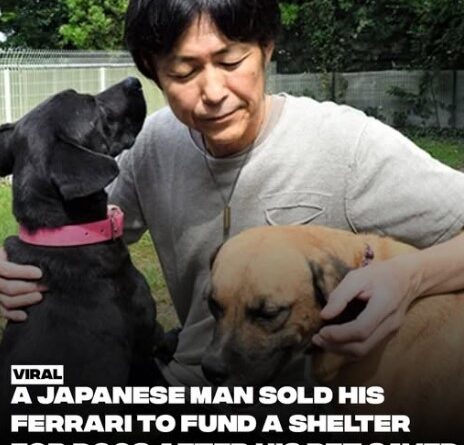 From Despair to Devotion: How One Man’s Life Was Saved by His Dog—and Sparked a Sanctuary for the Forgotten