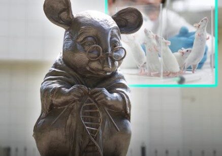 The Knitting Mouse: A Monument to the Unsung Heroes of Medical Science