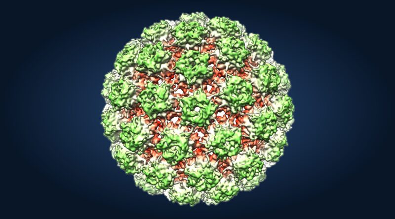ONE SHOT COULD BE ENOUGH: WHO Advisers Back a Single-Dose HPV Vaccine to Fight Cervical Cancer