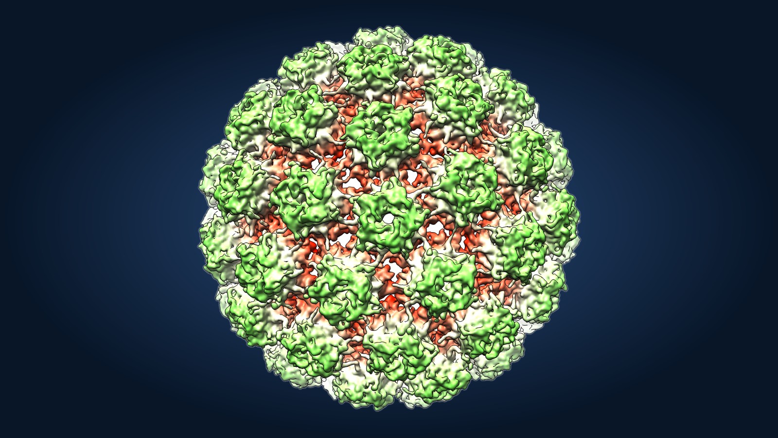 ONE SHOT COULD BE ENOUGH: WHO Advisers Back a Single-Dose HPV Vaccine to Fight Cervical Cancer